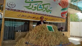 دهلران قطب اقتصادی و کشاورزی استان ایلام است