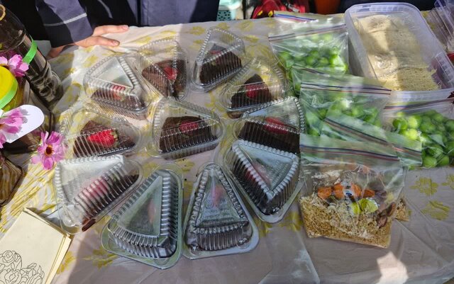 هنرستانها؛ مسیر رو به آینده دانشآموزان و فرصتی برای دیده شدن علایق