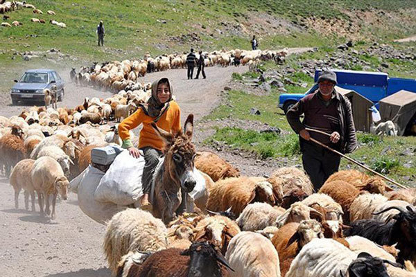 خشکسالی و کمبود منابع تهدید برای عشایر خراسان جنوبی