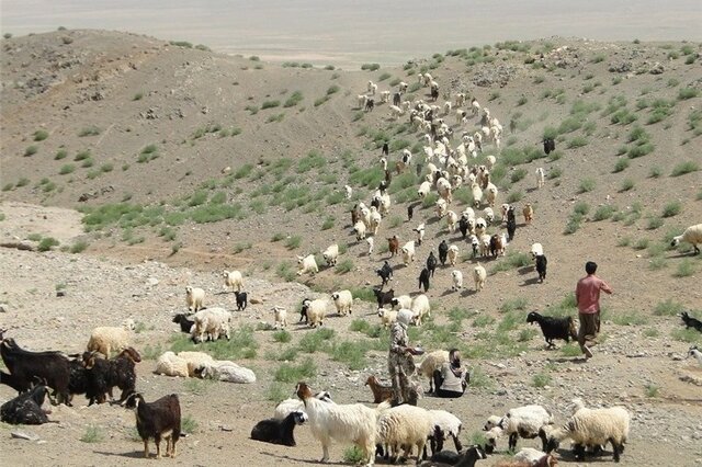 خشکسالی و کمبود منابع تهدید برای عشایر خراسان جنوبی خشکسالی و کمبود منابع تهدید برای عشایر خراسان جنوبی