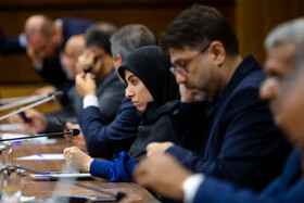 دیدار معاونین اول روسای جمهور ایران و زیمبابوه