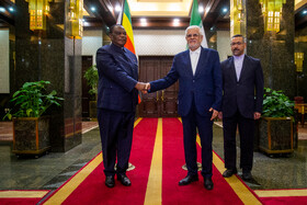 دیدار کنستانتینیو چیونگا، معاون اول رئیس جمهور زیمبابوه و محمدرضا عارف، معاون اول رئیس جمهور