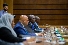 دیدار معاونین اول روسای جمهور ایران و زیمبابوه