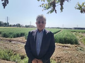 کشاورزی سنتی دیگر پاسخگو نیست / یافته‌های علمی باید به مزارع برسد