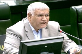 انتقاد یکی از نمایندگان مجلس از عدم توجه بانک‌ها به پرداخت وام‌های تکلیفی و تولیدی