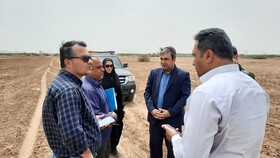 نیروگاه خورشیدی ۳۳ مگاواتی در ورامین احداث می‌شود