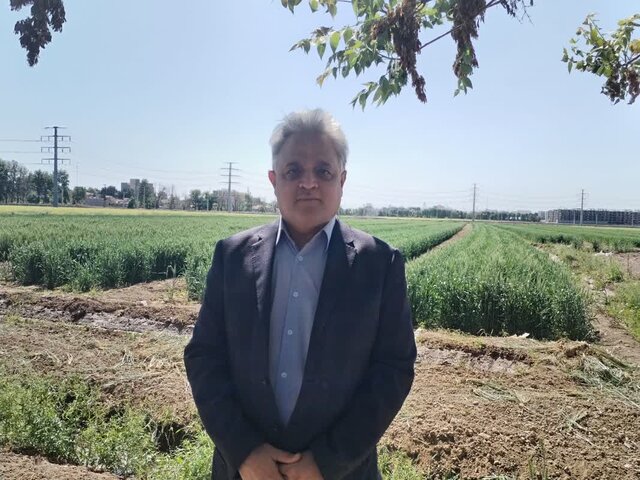 کشاورزی سنتی دیگر پاسخگو نیست / یافته‌های علمی باید به مزارع برسد