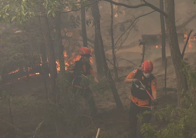 عکس: رویترز آتشسوزی جنگلی در کره جنوبی؛ دستور تخلیه برای بیش از ۱۲۰۰ نفر صادر شد