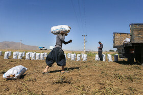 کارگران، اصلیترین سرمایه انسانی هستند که نقشی کلیدی در رشد اقتصادی و شکوفایی کشور ایفا میکنند