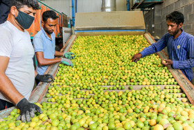کارگران، اصلیترین سرمایه انسانی هستند که نقشی کلیدی در رشد اقتصادی و شکوفایی کشور ایفا میکنند