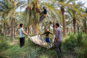 کارگران، اصلیترین سرمایه انسانی هستند که نقشی کلیدی در رشد اقتصادی و شکوفایی کشور ایفا میکنند