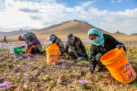 کارگران، اصلیترین سرمایه انسانی هستند که نقشی کلیدی در رشد اقتصادی و شکوفایی کشور ایفا میکنند