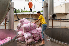 کارگران، اصلیترین سرمایه انسانی هستند که نقشی کلیدی در رشد اقتصادی و شکوفایی کشور ایفا میکنند