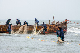 کارگران، اصلیترین سرمایه انسانی هستند که نقشی کلیدی در رشد اقتصادی و شکوفایی کشور ایفا میکنند