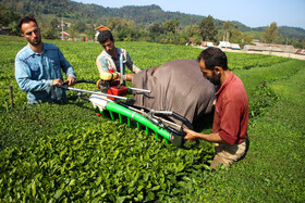 کارگران، اصلیترین سرمایه انسانی هستند که نقشی کلیدی در رشد اقتصادی و شکوفایی کشور ایفا میکنند