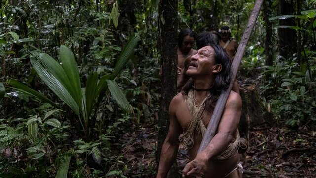 تصاویر؛ آخرین نگهبانان جنگلهای آمازون