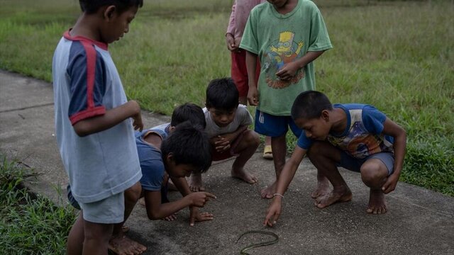 تصاویر؛ آخرین نگهبانان جنگلهای آمازون