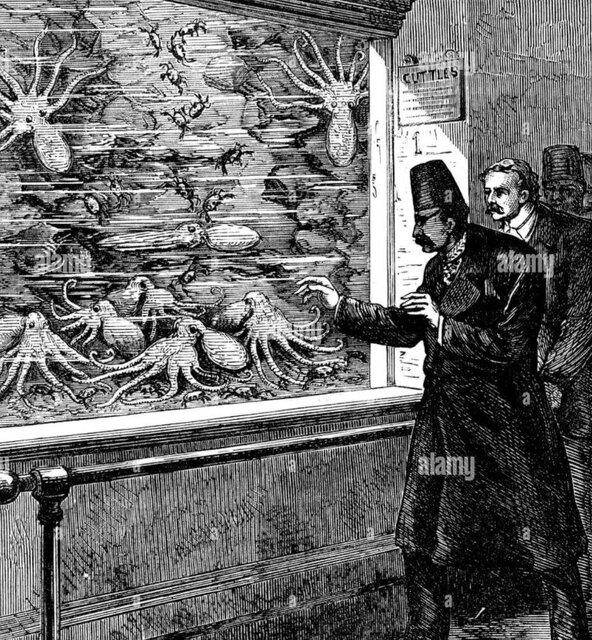 ناصرالدینشاه محو تماشای آکواریومی در لندن