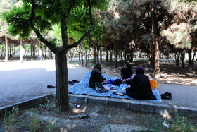 کنکور سراسری تجربی در مشهد