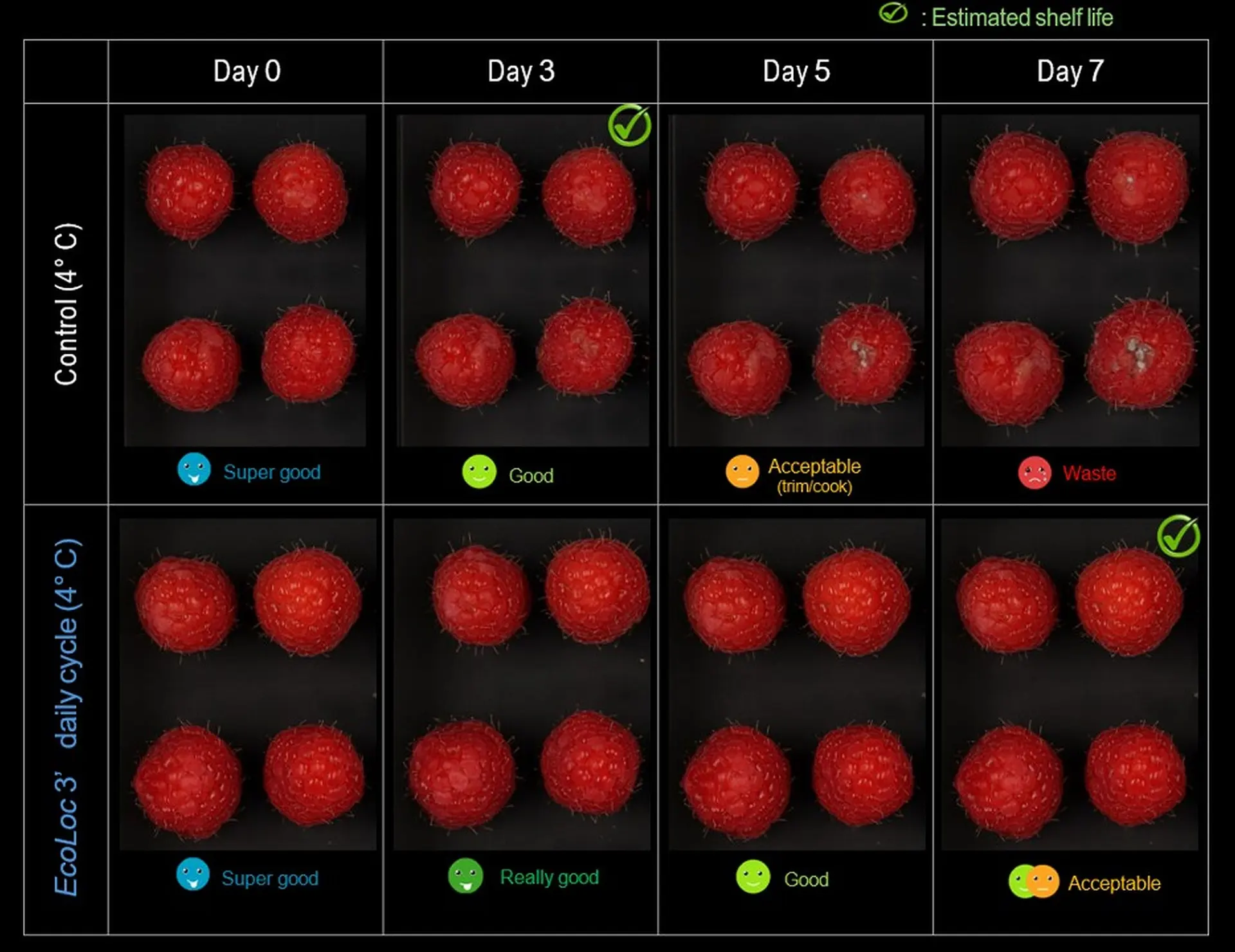 ظرفی که برای نگهداری از غذا نور فرابنفش ساطع میکند