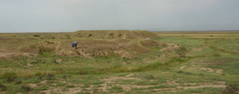 شباهتهای محوطه باستانی «مهوز ابوغویر» دهلران با چغازنبیل