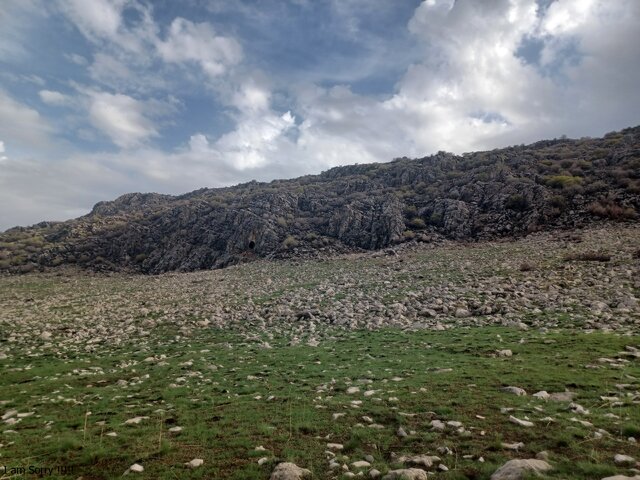 شناسایی شواهدی از نئاندرتالها در غاری از کرمانشاه