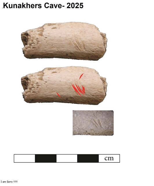شناسایی شواهدی از نئاندرتالها در غاری از کرمانشاه