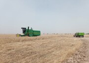 زراعت هوشمند پژوهشی ایستگاه تحقیقاتی مهران چه نتایجی داشته است؟