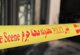 شستن فرش در کوچه منجر به قتل یک زن توسط راننده پراید شد