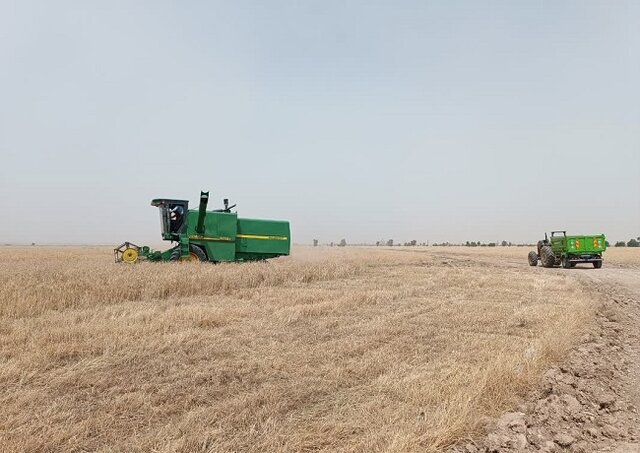 زراعت هوشمند پژوهشی ایستگاه تحقیقاتی مهران چه نتایجی داشته است؟ زراعت هوشمند پژوهشی ایستگاه تحقیقاتی مهران چه نتایجی داشته است؟