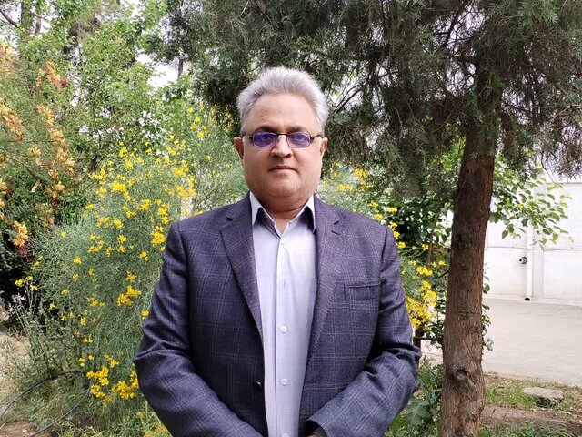 تهران رکورددار میزان برداشت گندم در هر هکتار شد