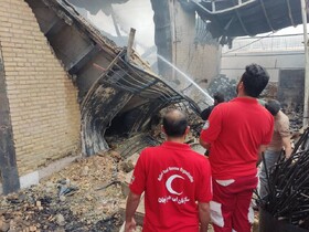 آتش‌سوزی کارخانه رنگ شهرک صنعتی جنت‌آباد ایوانکی 2 مصدوم بر جا گذاشت