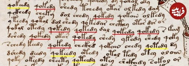 کتاب ۶۰۰ سالۀ مرموزی که هیچکس نمیتواند آن را بخواند