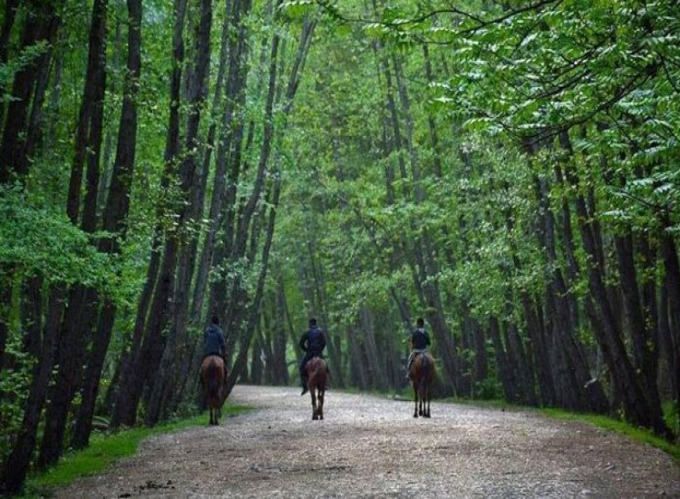 اجاره ویلا در رویاییترین لوکیشنهای شمال