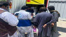 توقیف کامیون دارای تن ماهی فاقد کیفیت در سیب و سوران