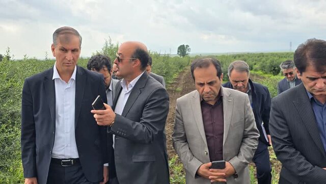 ضرورت توسعه کشت گلخانهای در راستای امنیت غذایی