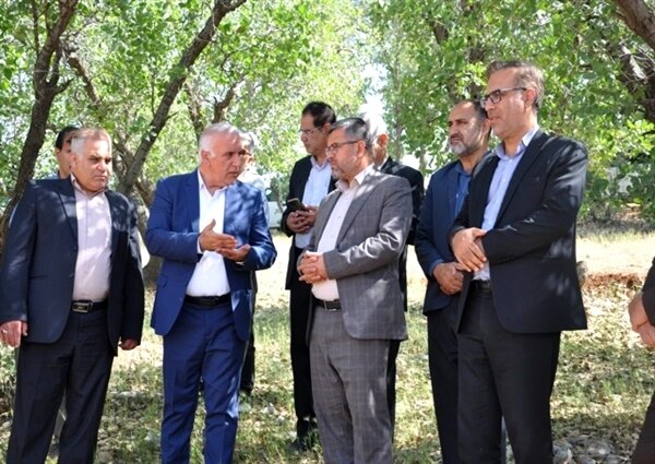 با عاملان قطع درختان پارک جنگلی یاسوج برخورد قاطع می شود