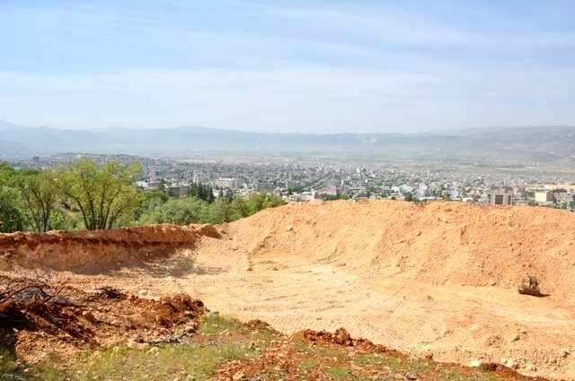 با عاملان قطع درختان پارک جنگلی یاسوج برخورد قاطع می شود