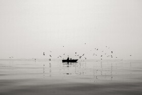 خلیج فارس
