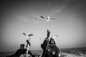 خلیج فارس