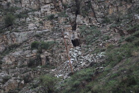 معدن طلای «اندریان» در شهرستان ورزقان آذربایجان شرقی 