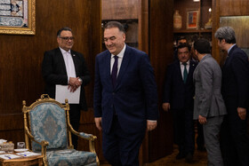 دلیر جمعه، وزیر انرژی تاجیکستان در دیدار با محمدرضا عارف، معاون اول رئیس جمهور