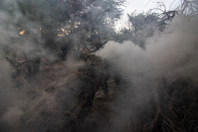 آتش‌سوزی جنگل دیزمار آذربایجان شرقی مهار شد