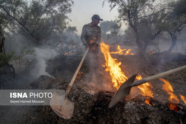 عکس از آرشیو تلاش برای مهار کامل آتشسوزی در تالاب شادگان