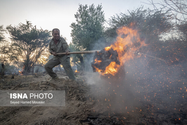 آتش سوزی در پارک ملی کرخه لزوم تدوین برنامه عملیاتی پدافند غیرعامل برای محیط زیست خوزستان