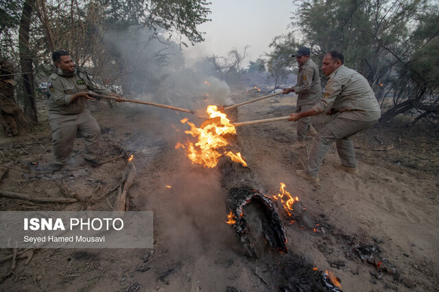 آتشسوزی در جنگلهای پارک ملی کرخه / اردیبهشت ۱۴۰۴ لزوم آمادهباش مدیریت بحران خوزستان برای مهار حریق عرصههای محیط زیست