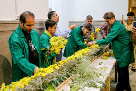 گل آرایی ضریح حضرت معصومه (س) به مناسبت ولادت امام رضا(ع)