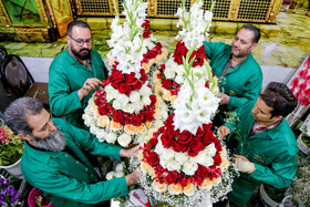 گل آرایی ضریح حضرت معصومه (س) به مناسبت ولادت امام رضا(ع)