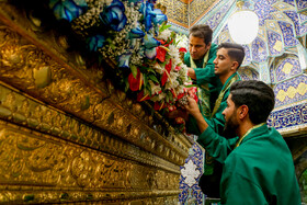 گل آرایی ضریح حضرت معصومه (س) به مناسبت ولادت امام رضا(ع)