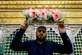 گل آرایی ضریح حضرت معصومه (س) به مناسبت ولادت امام رضا(ع)